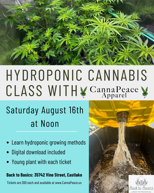 Hydroponic Cannabis Morning Class