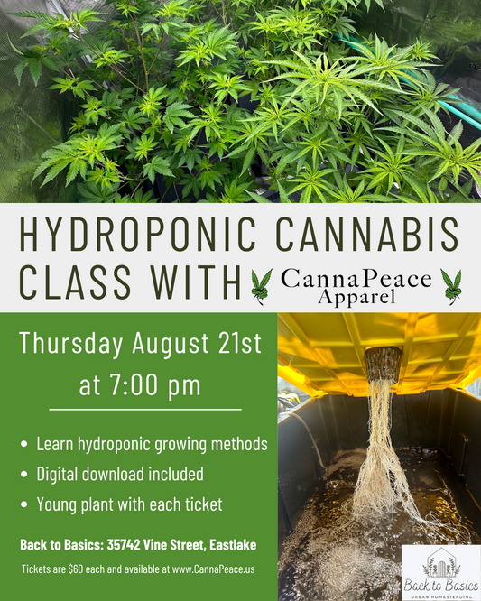 Hydroponic Cannabis Class