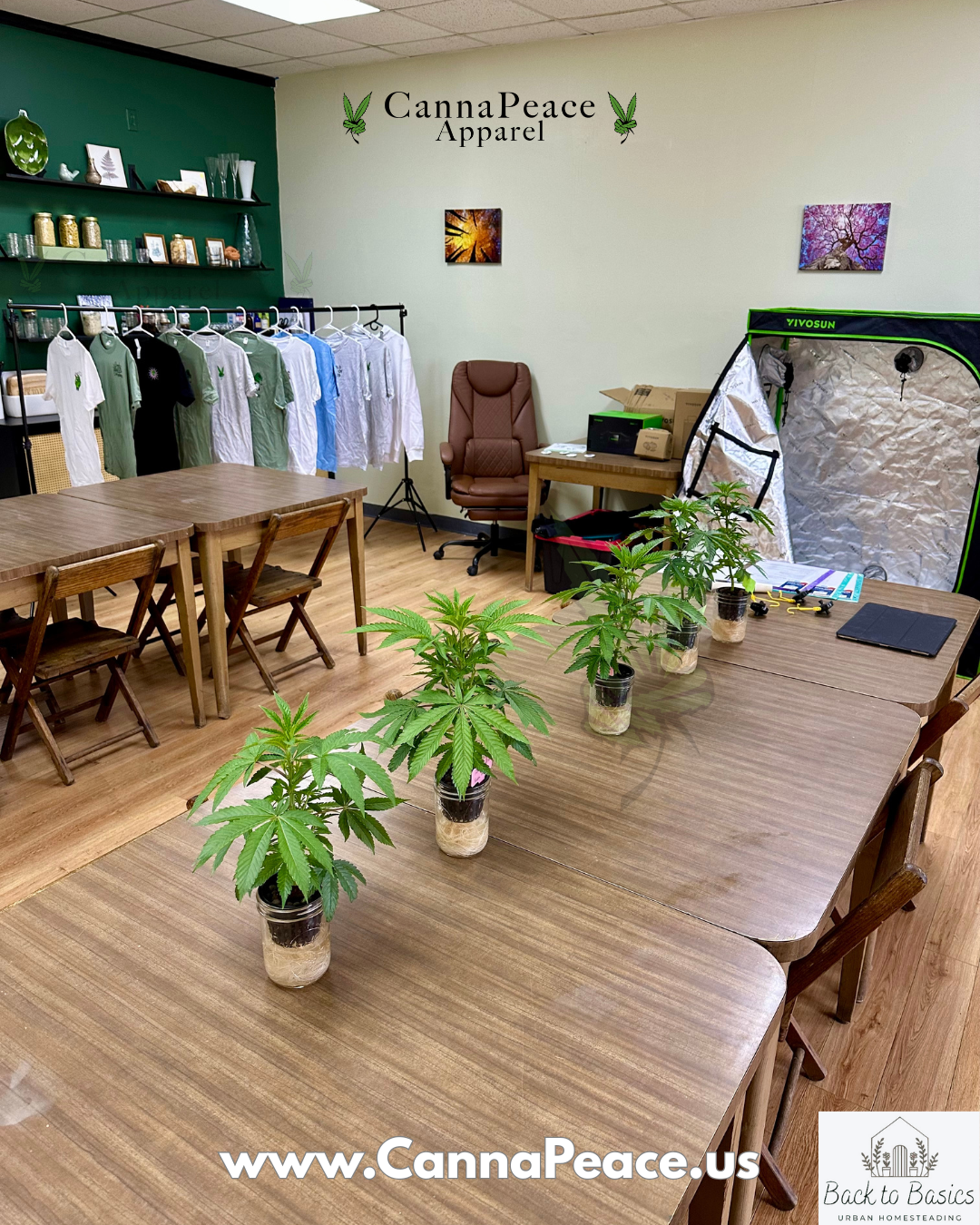 Hydroponic Cannabis Class
